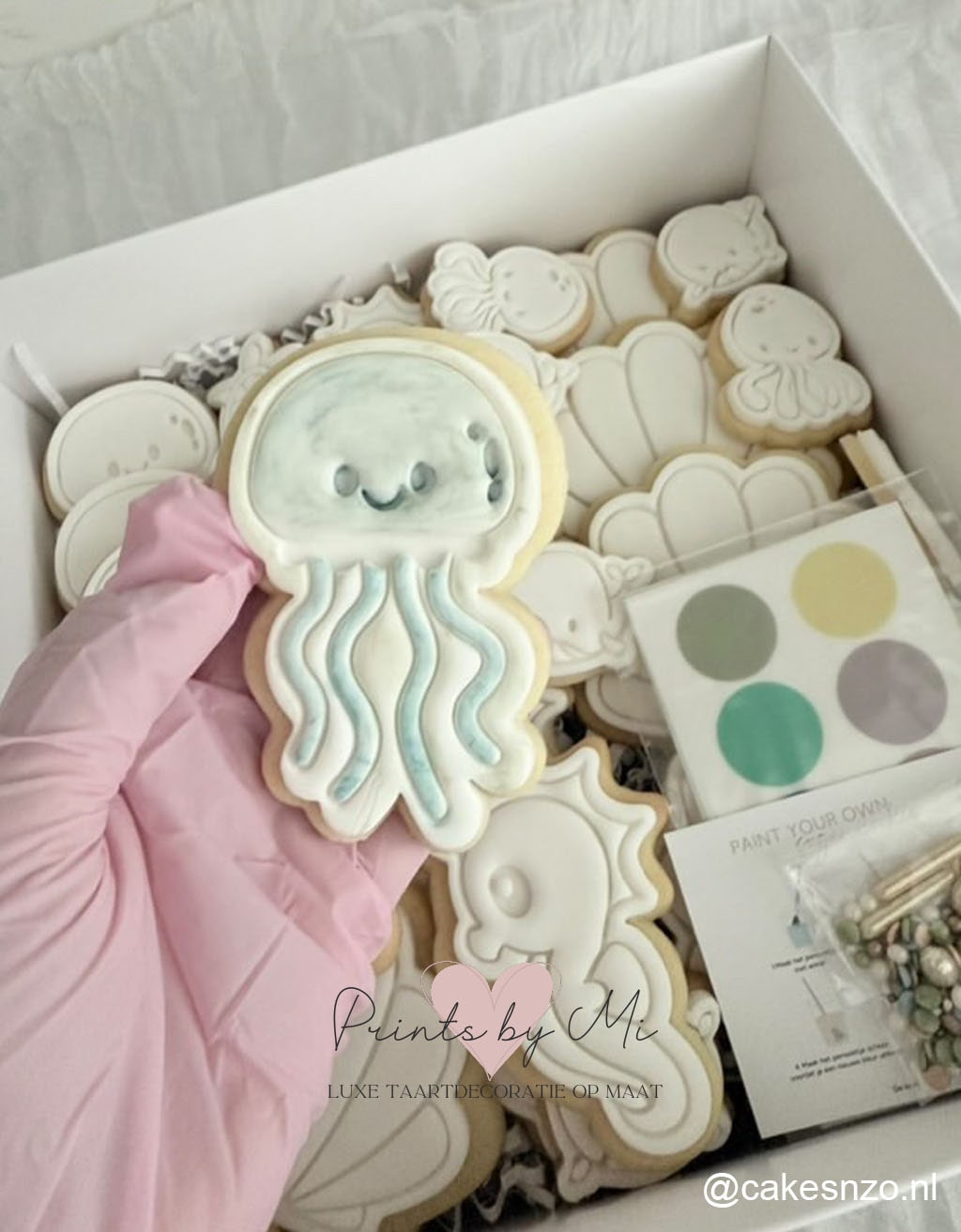 PYO cookie Verfpalets op maat