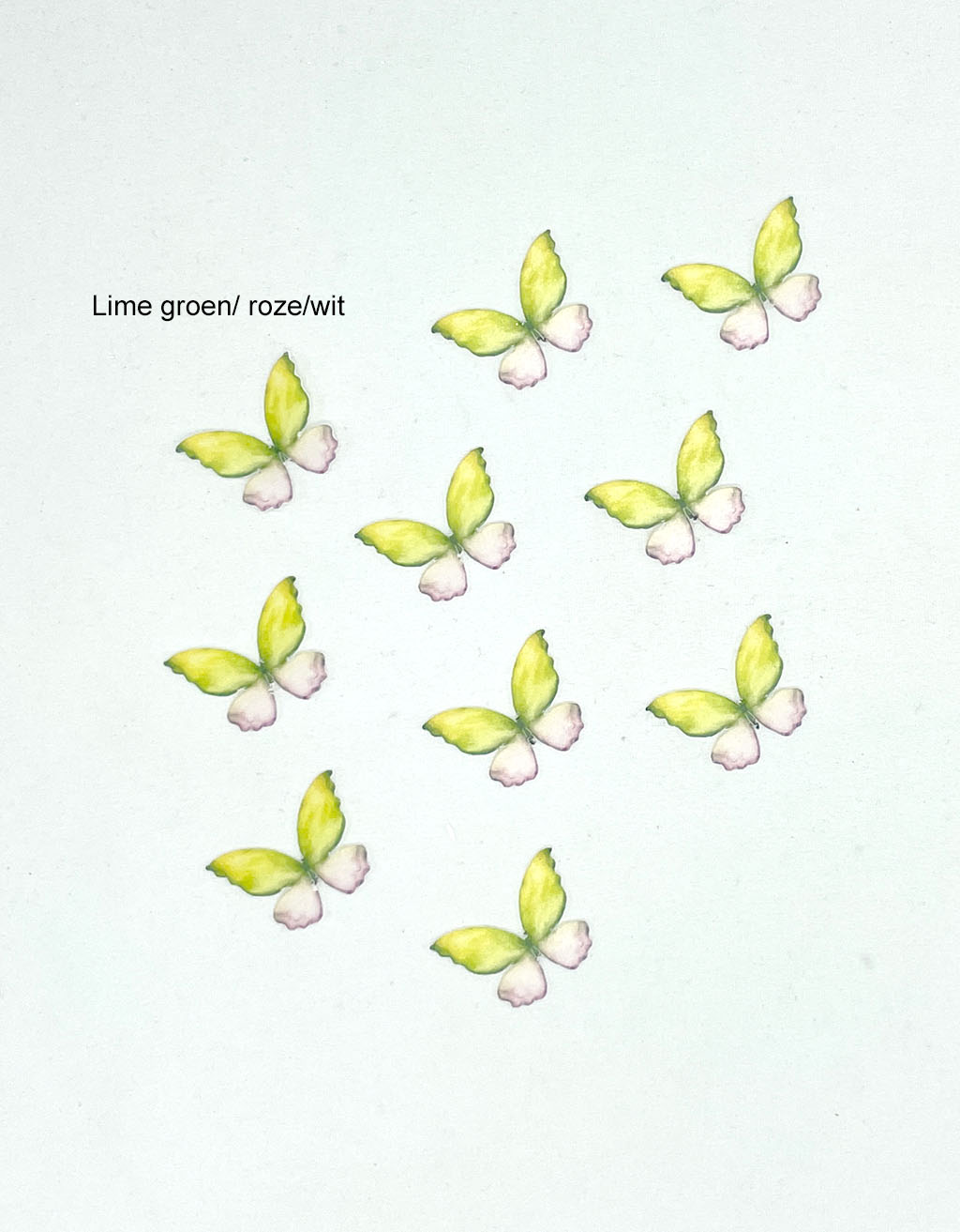 Ouwel vlinders 5 cm - 24 stuks