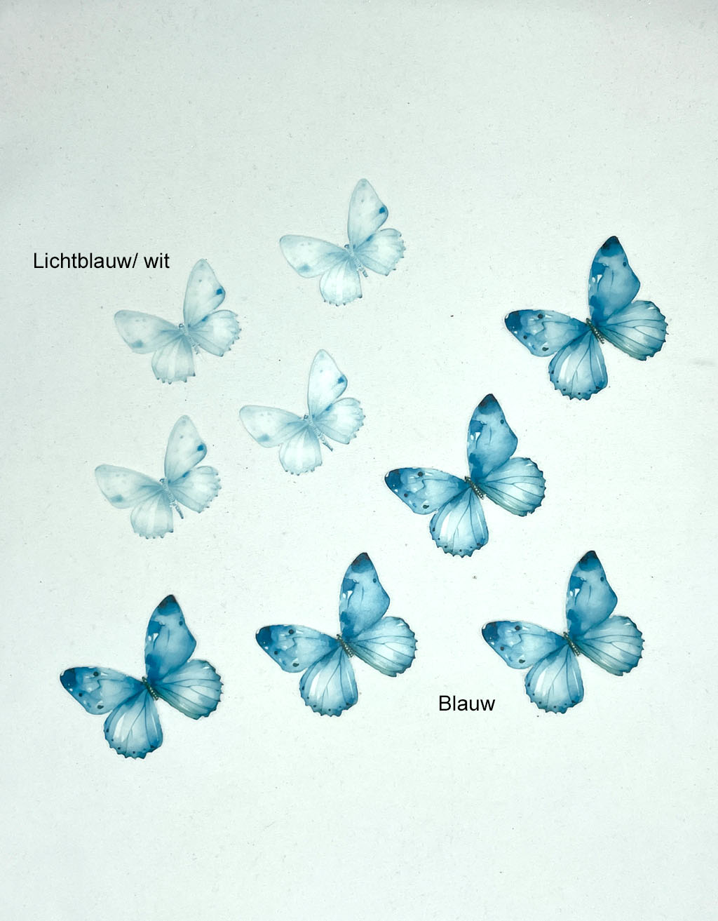 Ouwel vlinders 6 cm - 16 stuks